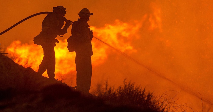 Firefighters pouring water on a forest fire